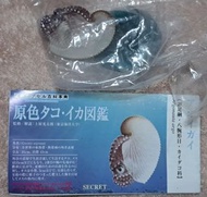 原色墨魚八爪魚圖鑑 2009年