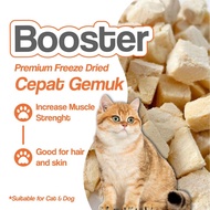 LGD PETS Chicken Cube 500G Cubes Booster Gemuk Kucing Premium Cat Booster Chicken Cube For Cat Cat T