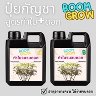 ปุ๋ยกันสูตรทำใบทำดอก กัชชา1ชุดAB GROW+BLOOM