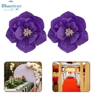 BLURVER~Paper Flowers Wedding 25cm 30cm Birthday Bold Colors Crepe Paper Folded Storage