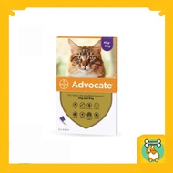 REPACK LARGE CAT FLEA MEDICINE 4-8KG ADVOCATE CAT ADULT