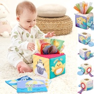 Baby Sensory Box | Montessori Early Education Toy | Infant Toy | Sensory Development Toy | Suitable 