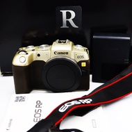 Canon EOS RP Gold Series Limited Edition กล้องมิเรอร์เลสฟูลเฟรม ได้รับการออกแบบด้วยนวัตกรรมสุดทันสมั