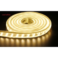 5730 LED Strip Light cool white-10 Meter (Premium Quality,Waterproof)