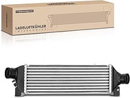 Frankberg Intercooler Turbo Cooler Compatible with Transit Bus 2002-2006 Transit Box 2002-2006 Trans