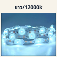 ริบบิ้น LED ไฟเส้น 2835 ไฟ LED 12V กันน้ำ ไฟเส้นสว่างสูง 12000K ไฟตกแต่งบ้าน ไฟตกแต่งภายนอก LED Stri
