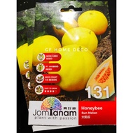 10seed Melon Sun Honeybee 太阳瓜 Jom Tanam by Crop Power Benih buah-buahan Seeds Premium Vegetable plan