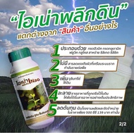 ไอ้เน่า5ขวด แก้ดินแน่น ดินแข็ง ไอเน่า สารปรับสภาพดิน ฟื้นฟูดิน แก้ดินเสีย เร่งการแตกราก ขนาด 500ML