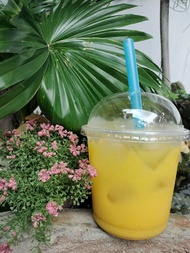 Lốc 50 LY thố nhựa lùn 700ml đựng nước ép trà sữa dùng 1 lần tiện lợi