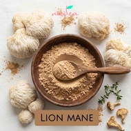 LION MANE POWDER 25gram - NICITEA Lion Mane Mushroom Powder/ Superfood Powder/ Lion Mane Mushroom Po
