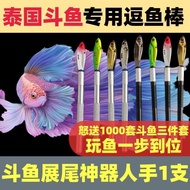 T Thailand Betta Fish Teasing Stick Betta Fish Training Stick Must-Have Betta Pen Betta Stick Tool S