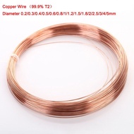 【✆New✆】 fka5 Soft Copper Wire Diameter 0.2/0.3/0.4/0.5/0.6/0.8/1/1.2/1.5/1.8/2/2.5/3/4/5mm 99.9% T2 Copper Line Good Conductive Diy Material