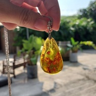 波羅的海蜜蠟琥珀吊飾 - 招財 健康 長壽之寶石