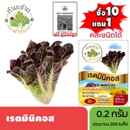 ทำมะชาดฟาร์ม (ซื้อ10แถม1) เมล็ดพันธุ์ เรดมินิคอส  ขนาด0.2กรัม ประมาณ200เมล็ด RED MINICOS ROMAINE LET