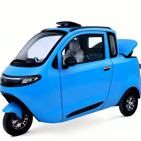 Enclosed-body electric tricycle 1000W + EEC-certified 3-wheel disabled mobile scooter