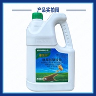 Kunci Rumput Yongnong 10% Garam Glufosinate Ammonium Garam Glufosinate Ammonium Garam Citrus Kebun P