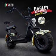 LEM ELECTRIC SCOOTER (fully accessories) EBIKE ADULT RECHARGEABLE