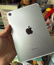 5G iPad mini 7 A17pro 512gb,流動數據eSIM 版，電池100，2月買，完全冇花，保養至27年2月！