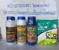 ฮอร์โมนเปิดตาดอกผักไม้ผลทุเรียนเงาะพริกลำไย(ดอกชัวร์+อีสเวย์+อีสเฟอร์เอส0-27-35+ปุ๋ยเกร็ด13-0-46)5.7