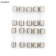 erudent 10pcs Glass Tube Fuse 5mm x 20mm 1.6A T1.6A 250V Slow Blow 1.6Amps new