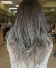 Bob Keratin Permanent Hair Color - 10/01 Silver Gray