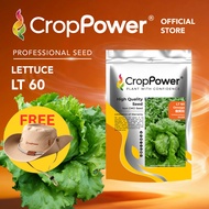 (100 GRAM) Biji Benih Sayur Salad 傲美佳 LT60 CROP POWER Iceberg Lettuce Seed 结球生菜种子 LT 60 Lactuca sat