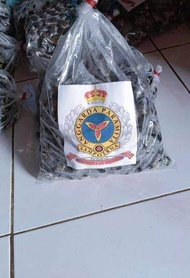 BIBIT POLONG SAWIT SRIWIJAYA ASLI UNGGUL BIBIT SAWIT SJ5 ASLI BIBIT POLONG KECAMBAH SAWIT UNGGUL