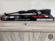[雷鋒玩具模型]- GAMO ROADSTER 10X IGT STR GEN2 5.5MM .22 折槍 現貨