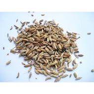 Sweet Fennel Seeds 50g Fennel Seeds 50 grams