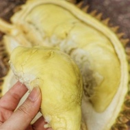 Durian Montong Utuh Boss Buah DIJAMIN MANIS