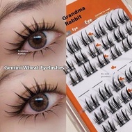 【Shipment Within 24 Hours】Mlen Diary Eyelash Cluster Wispy Fox Magnetic False Eyelashes Natural Doll