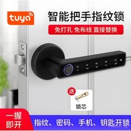 Graffiti Apartment Office Silent Password Lock Room Door Handle Fingerprint Lock APP Cross-border Bl