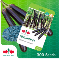 Eastwest Seed [FORTUNER F1] Talong/Eggplant Go Grow Pack