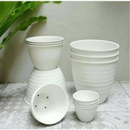 27 cm white wasp pot