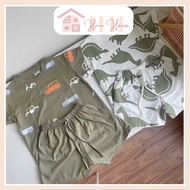 Boys' summer set with dinosaur and car motifs, size 9-27kg (1st class product) - Hana House