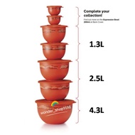Limited Edition Tupperware Expression Bowl 200mL/1.3L/2.5L/4.3L
