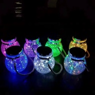 Solar Lamp Decorated Garden Hanging Jars, Save Electricity