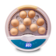 [mojotorw7] Digital Chicken 9 Eggs Breeding Hatching Incubator For Birds Chicken US Plug