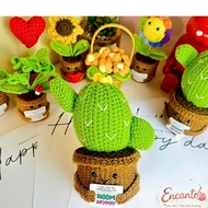 Meaningful Encanto cactus wool flower pot as a birthday gift, loved one, meaningful decor, - comes w
