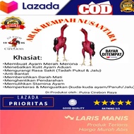 DOPING AYAM ARAK GOSOK/ARAK GOSOK AYAM BANGKOK / ARAK REMPAH NUSANTARA / ARAK GOSOK UNTUK AYAM 100ML