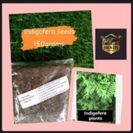 ♧ ◫ ✹ Indigofera seeds 150 grams