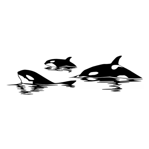 18*4.7cm Ocean Killer Whale VINYL DECAL Car Stickers Fashion Personality car stickers to cover scrat