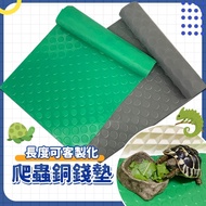 [24H Taiwan Shipment] Copper Coin Mat Tortoise Substrate Reptile Material Anti-Slip Litter Lizard St