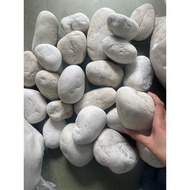 8KG Large White Pebbles – Natural Stream Stone for Garden and Aquarium Decoration, Pebble Stone, Gar