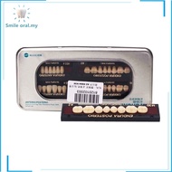 Dental Materials Plastic Steel Teeth Resin Teeth Porcelain Veneers Dentures Full Dentures Oral Acces