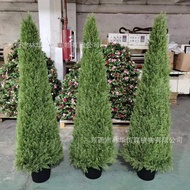 Simulation Pine Cypress Tapered Simulation Pine Cypress Wedding Decoration Simulation Green Plant Ho