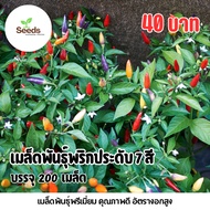 7-Color Ornamental Chili Seeds 200 Seeds/Pack