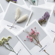 Small Fresh Dry Flower Card Birthday Greeting Photo Props Z221 Z221b