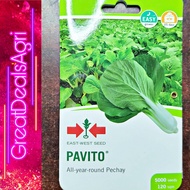 PAVITO OPV PETCHAY SEEDS (5000 SEEDS) EAST WEST SEEDS