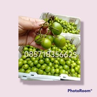 TERBARU BUAH GANDARIA 1 KG